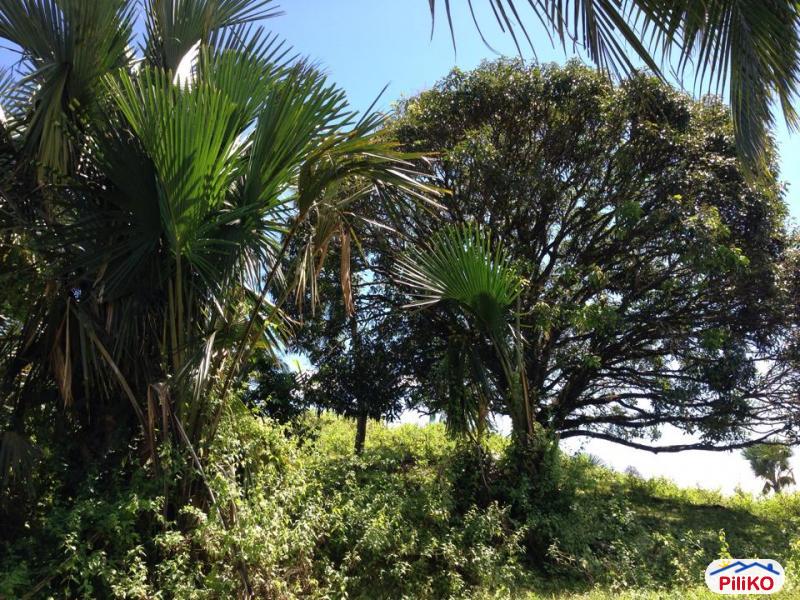Pictures of Agricultural Lot for sale in Consolacion