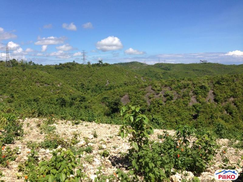 Pictures of Residential Lot for sale in Consolacion