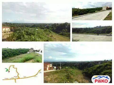 Pictures of Residential Lot for sale in Consolacion