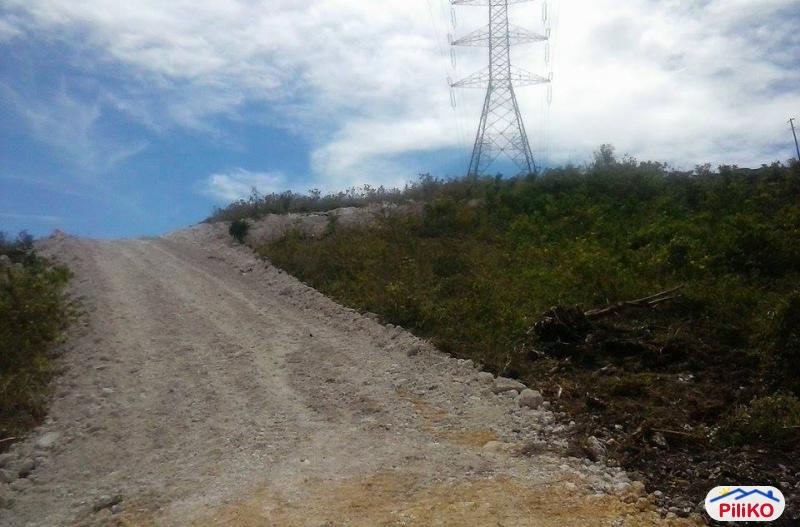 Pictures of Residential Lot for sale in Consolacion
