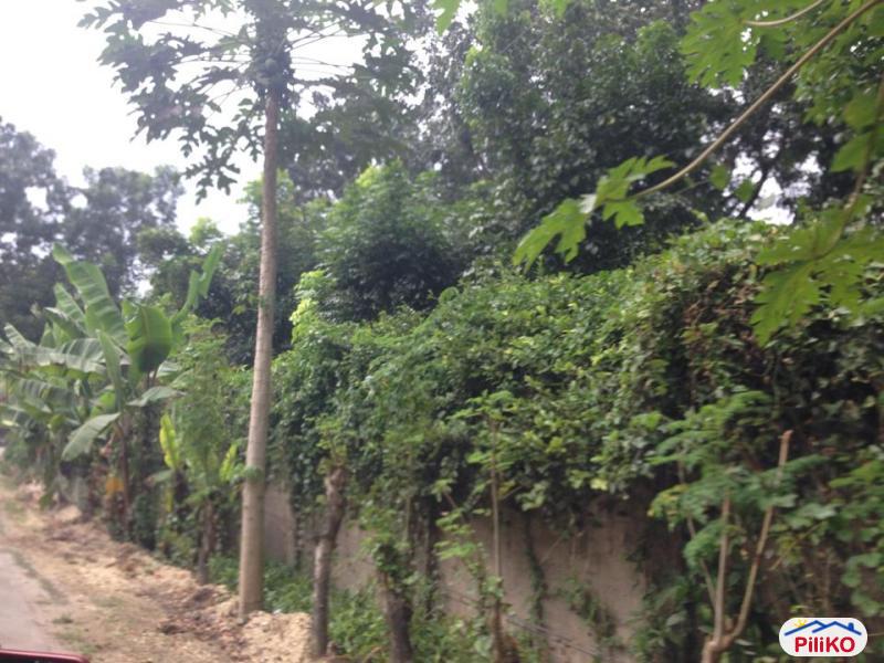 Pictures of Agricultural Lot for sale in Consolacion