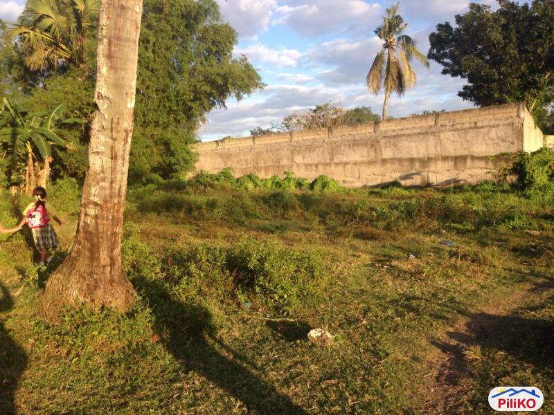 Picture of Residential Lot for sale in Consolacion