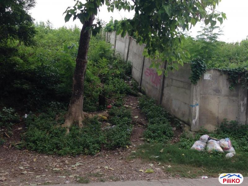 Pictures of Commercial Lot for sale in Consolacion
