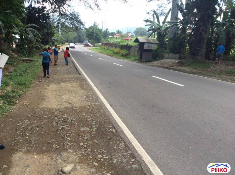 Pictures of Residential Lot for sale in Consolacion