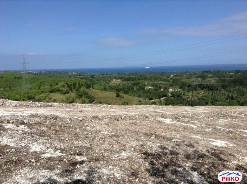 Pictures of Residential Lot for sale in Consolacion