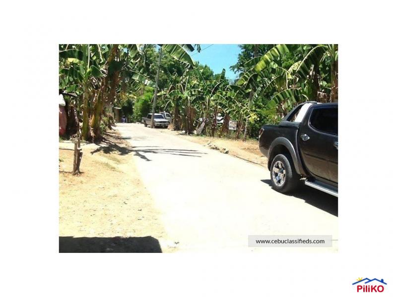 Pictures of Residential Lot for sale in Consolacion