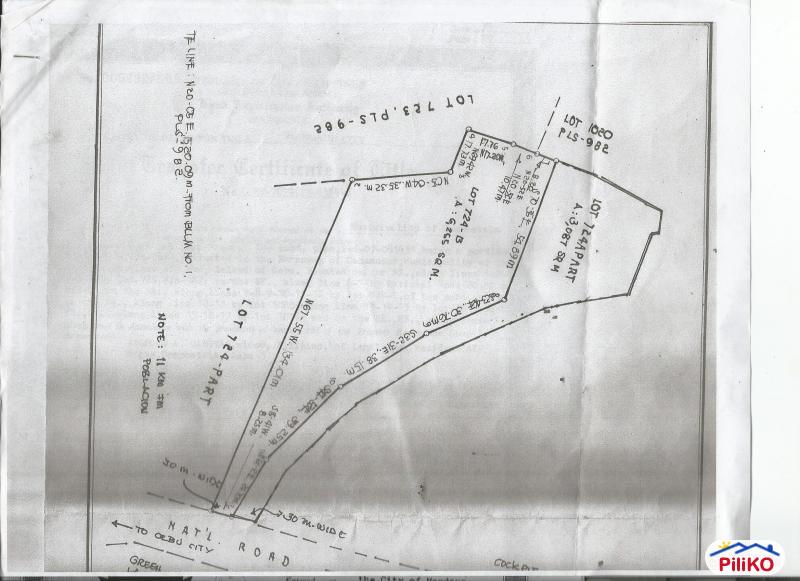 Pictures of Commercial Lot for sale in Consolacion