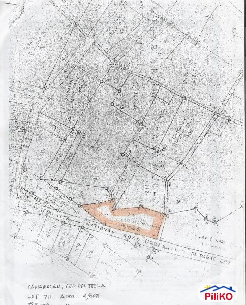 Pictures of Commercial Lot for sale in Consolacion