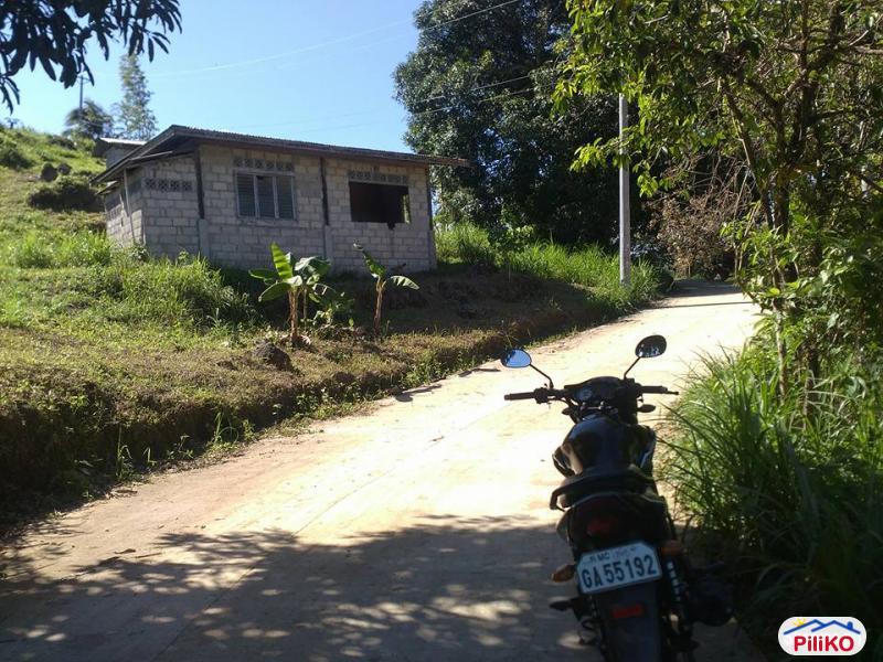 Pictures of Agricultural Lot for sale in Consolacion