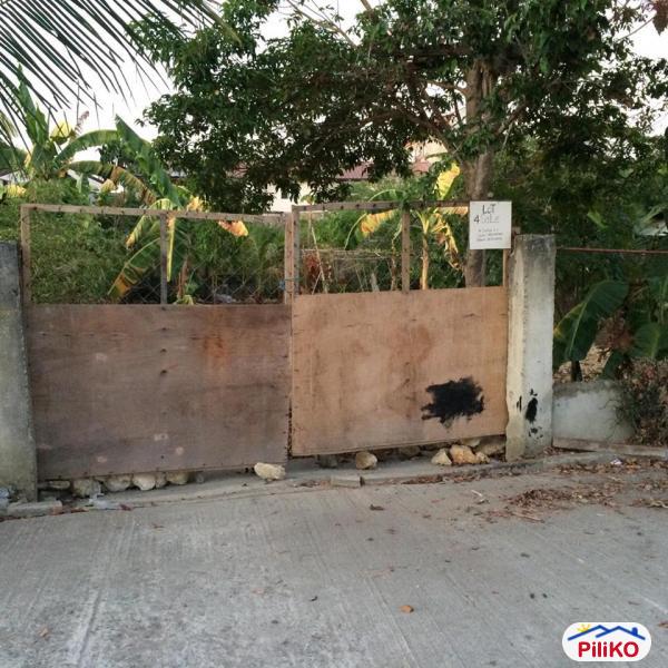 Pictures of Residential Lot for sale in Consolacion
