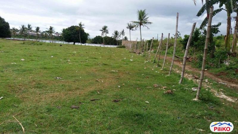 Pictures of Residential Lot for sale in Consolacion