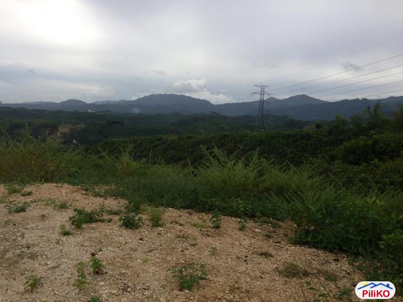 Residential Lot for sale in Consolacion - image 2