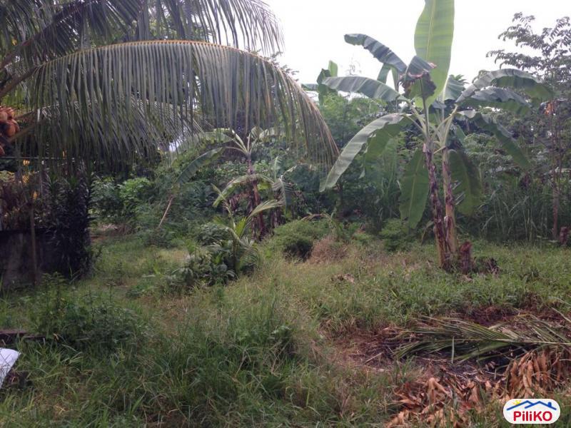 Residential Lot for sale in Consolacion