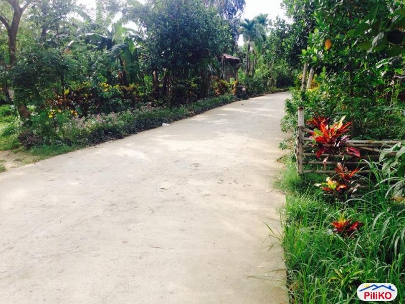 Residential Lot for sale in Consolacion - image 2