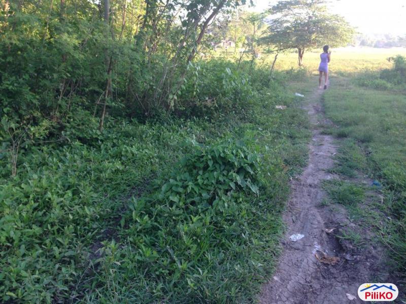 Residential Lot for sale in Consolacion