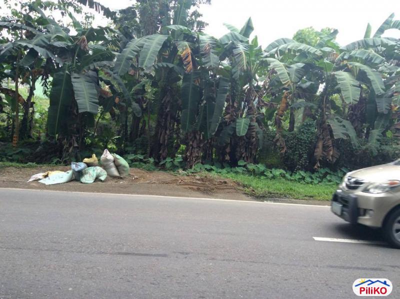 Residential Lot for sale in Consolacion - image 2