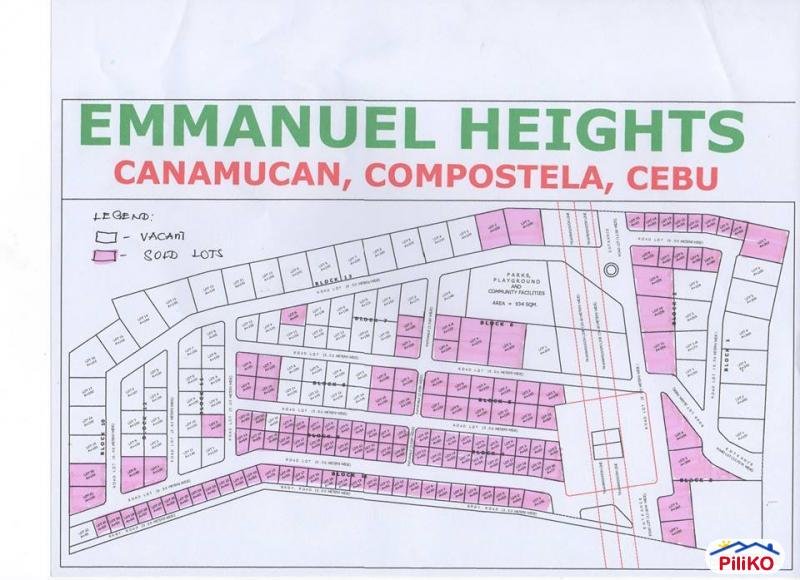 Residential Lot for sale in Consolacion - image 2