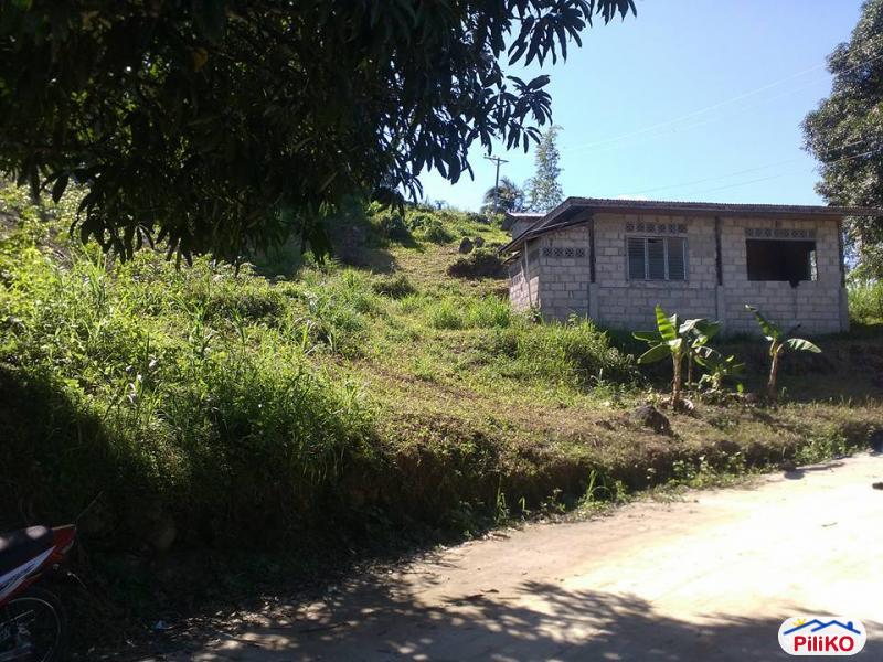 Agricultural Lot for sale in Consolacion - image 2