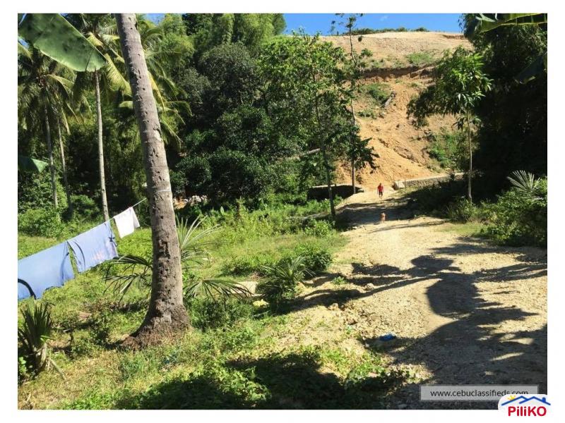 Residential Lot for sale in Consolacion - image 2