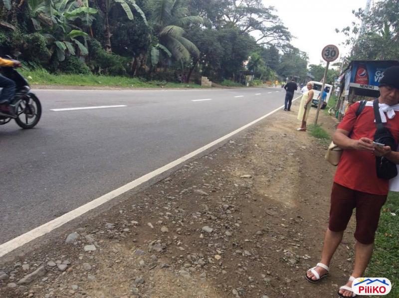 Residential Lot for sale in Consolacion - image 2