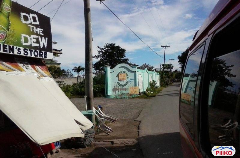 Residential Lot for sale in Consolacion - image 2