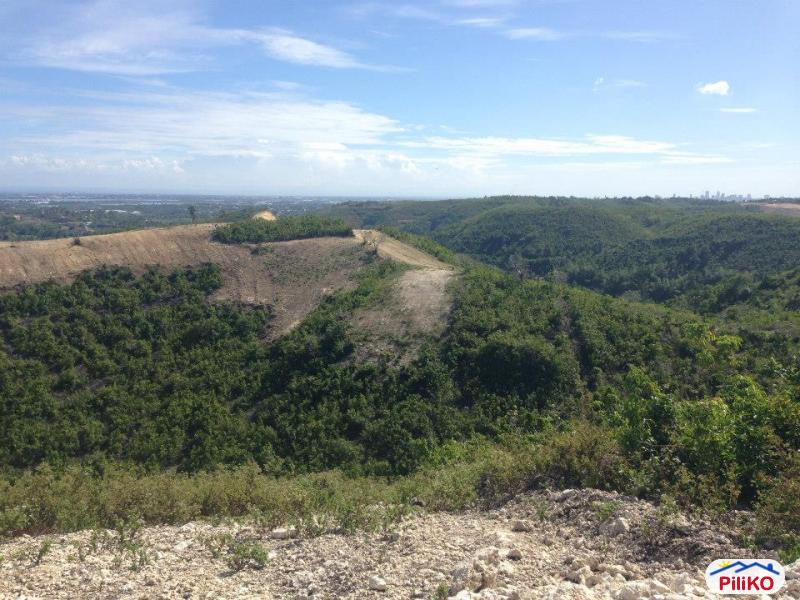 Residential Lot for sale in Consolacion - image 2