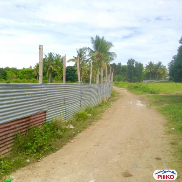 Residential Lot for sale in Consolacion - image 2