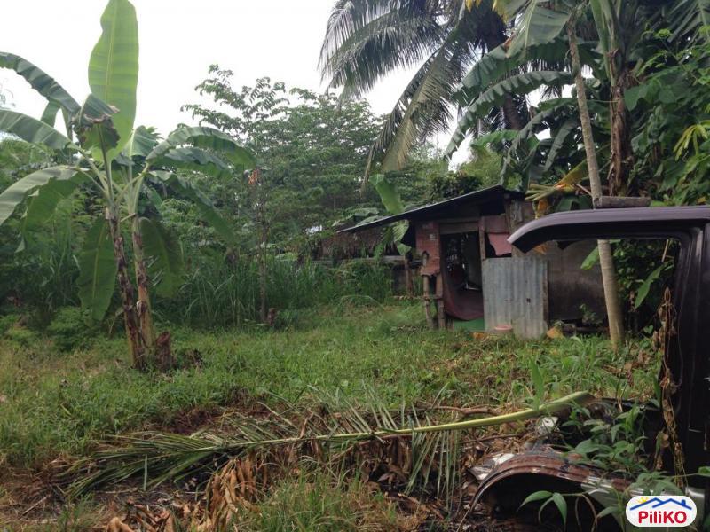 Residential Lot for sale in Consolacion in Cebu