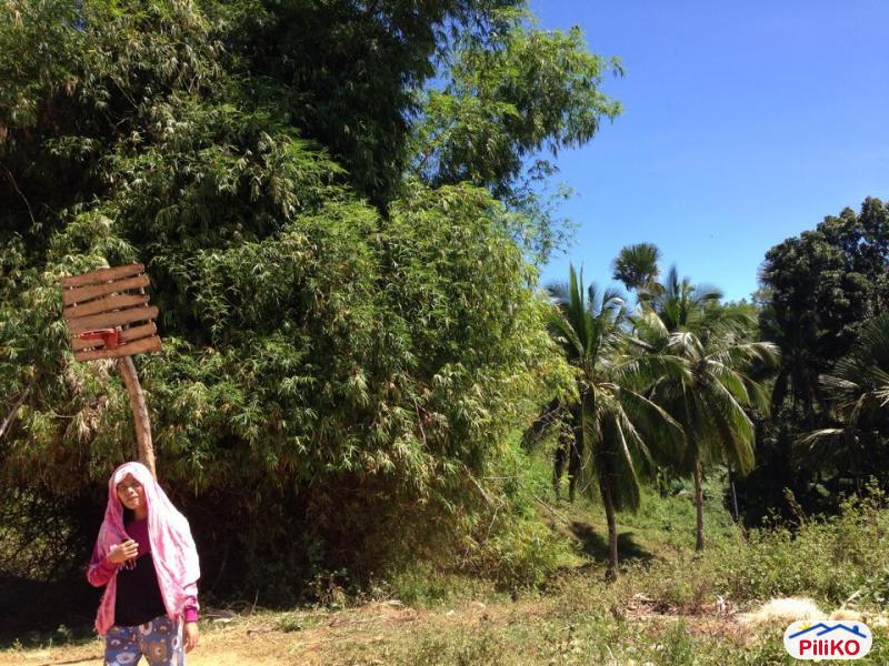 Agricultural Lot for sale in Consolacion - image 3
