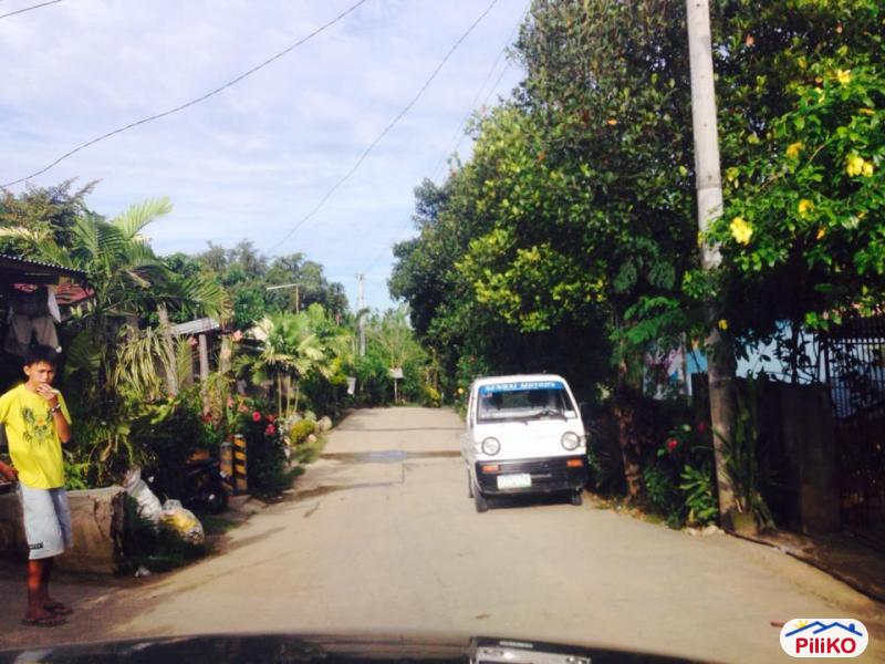 Residential Lot for sale in Consolacion - image 3