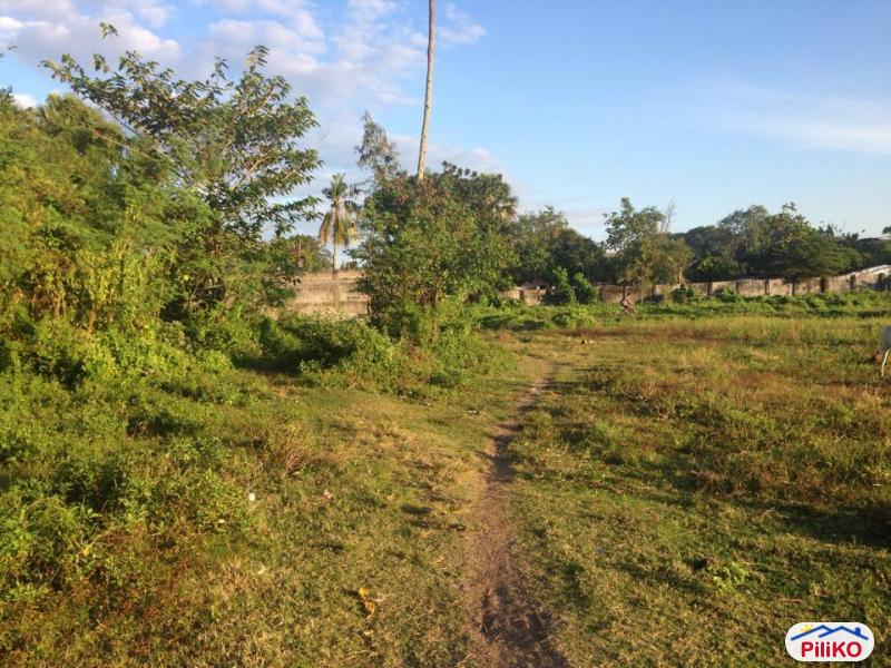 Residential Lot for sale in Consolacion in Cebu
