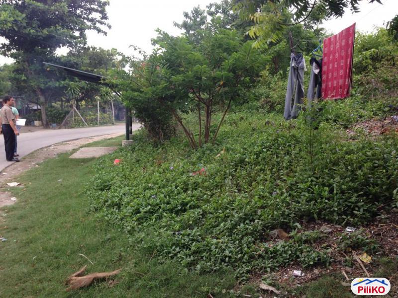 Commercial Lot for sale in Consolacion in Cebu