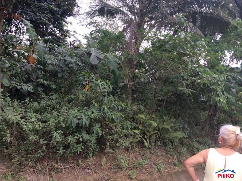 Residential Lot for sale in Consolacion - image 3