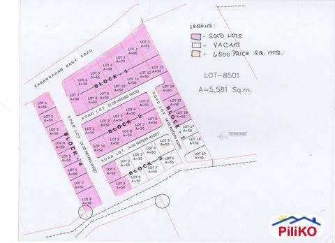 Residential Lot for sale in Consolacion - image 3