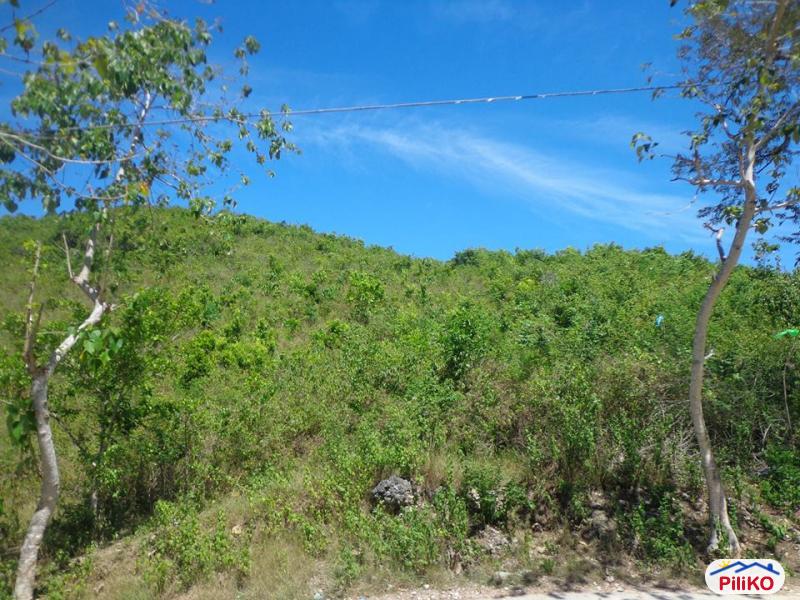 Residential Lot for sale in Consolacion - image 3