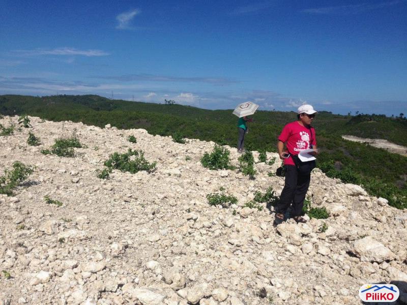 Residential Lot for sale in Consolacion - image 3