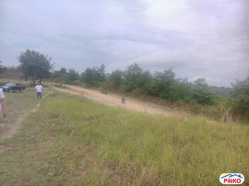 Residential Lot for sale in Consolacion - image 4