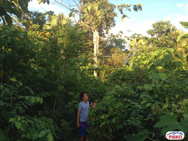 Residential Lot for sale in Consolacion in Philippines