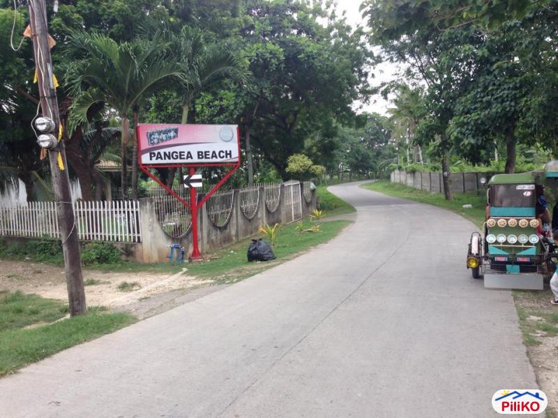 Commercial Lot for sale in Consolacion - image 4