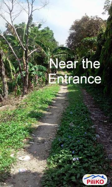 Residential Lot for sale in Consolacion in Philippines