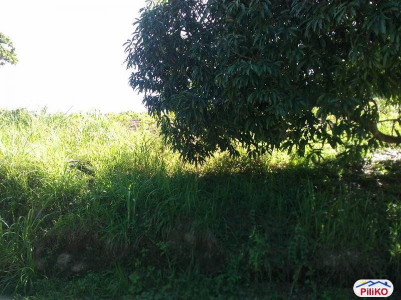 Agricultural Lot for sale in Consolacion in Philippines