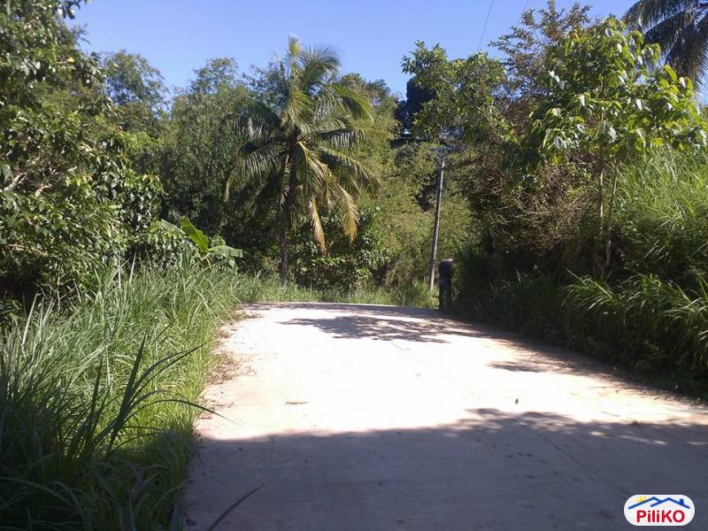 Agricultural Lot for sale in Consolacion in Philippines