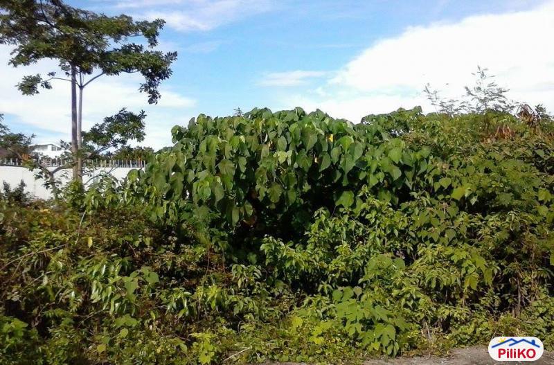 Residential Lot for sale in Consolacion - image 4