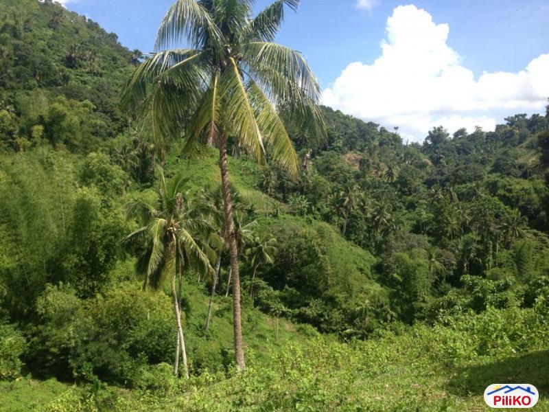 Residential Lot for sale in Consolacion - image 5
