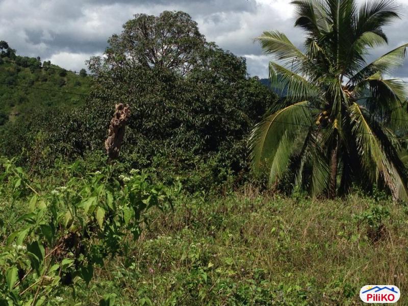 Agricultural Lot for sale in Consolacion - image 5