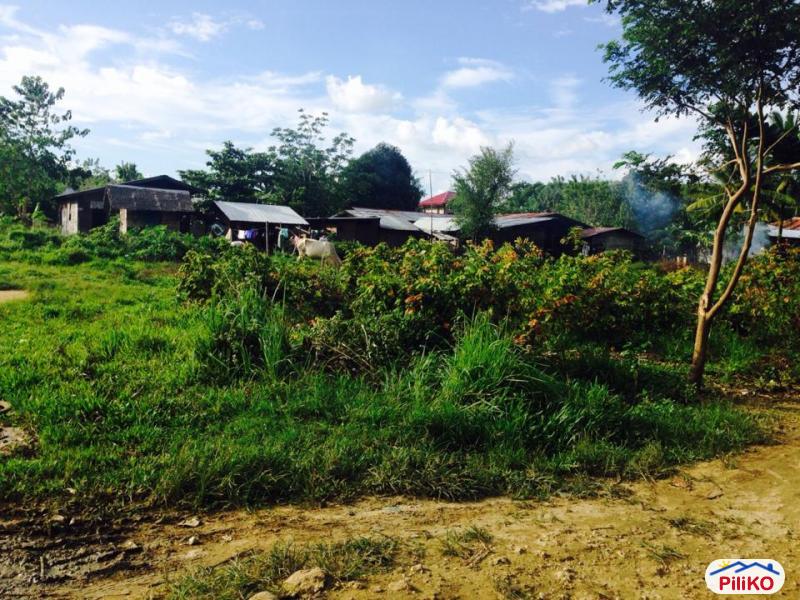 Residential Lot for sale in Consolacion - image 5