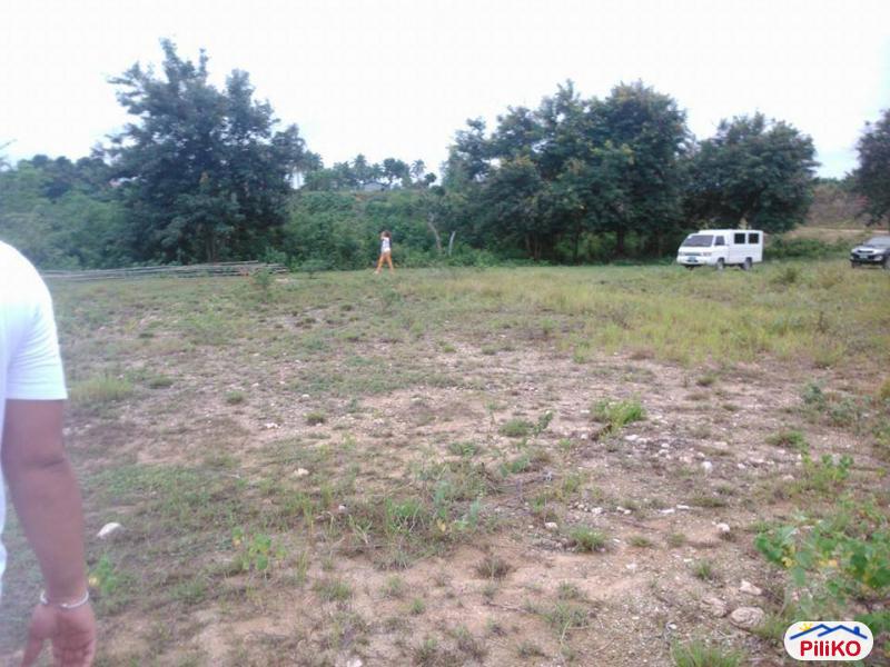 Residential Lot for sale in Consolacion - image 5