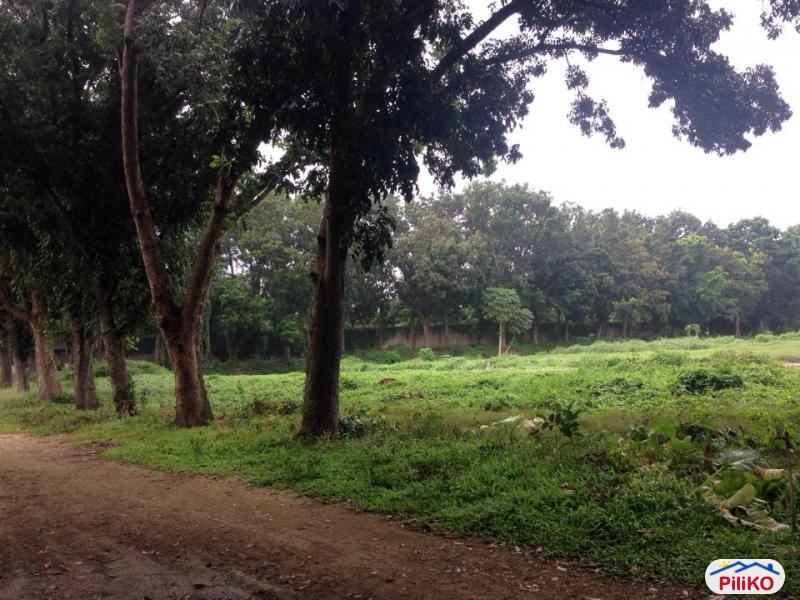 Picture of Agricultural Lot for sale in Consolacion in Cebu