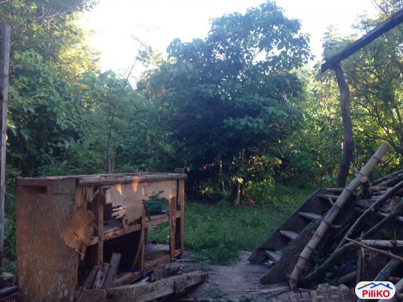 Picture of Residential Lot for sale in Consolacion in Cebu