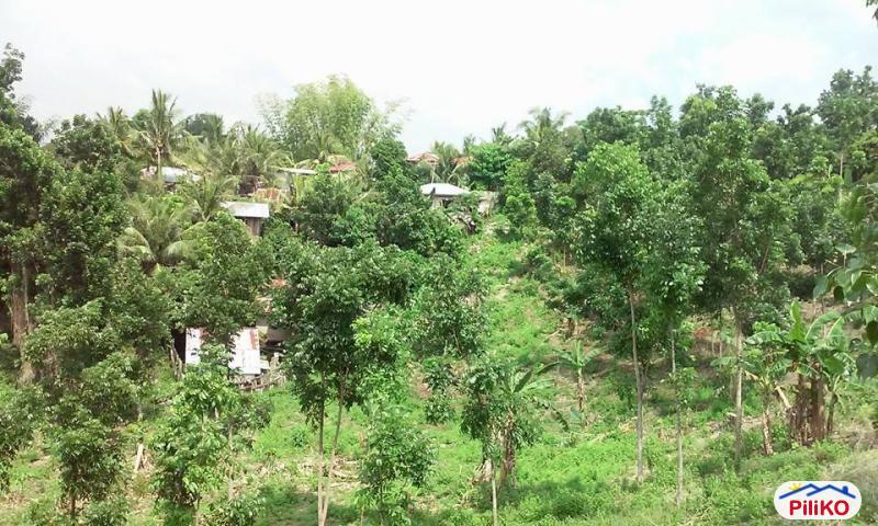 Residential Lot for sale in Consolacion - image 5